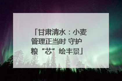 甘肃清水：小麦管理正当时 守护粮“芯”绘丰景