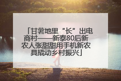甘薯地里“长”出电商村——新泰80后新农人张甜甜用手机新农具撬动乡村振兴