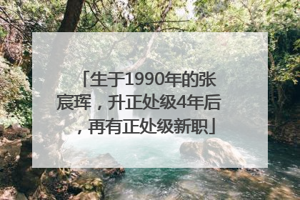生于1990年的张宸珲，升正处级4年后，再有正处级新职