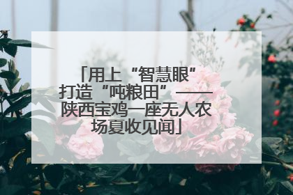 用上“智慧眼” 打造“吨粮田”——陕西宝鸡一座无人农场夏收见闻