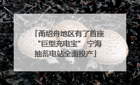 甬绍舟地区有了首座“巨型充电宝” 宁海抽蓄电站全面投产