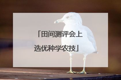 田间测评会上选优种学农技