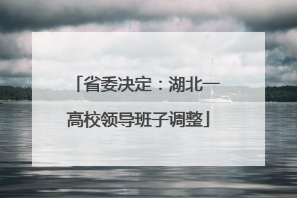 省委决定：湖北一高校领导班子调整