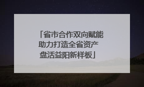 省市合作双向赋能 助力打造全省资产盘活益阳新样板