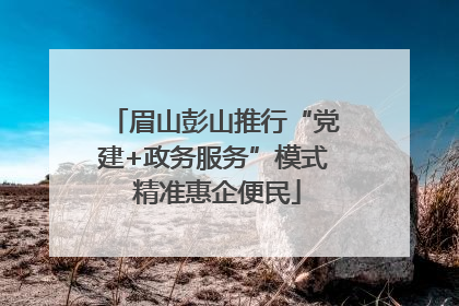 眉山彭山推行“党建+政务服务”模式 精准惠企便民