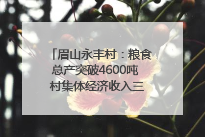 眉山永丰村：粮食总产突破4600吨 村集体经济收入三年倍增｜牵挂的村