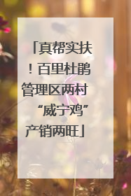 真帮实扶！百里杜鹃管理区两村“威宁鸡”产销两旺