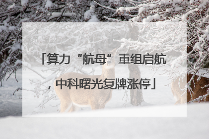 算力“航母”重组启航，中科曙光复牌涨停