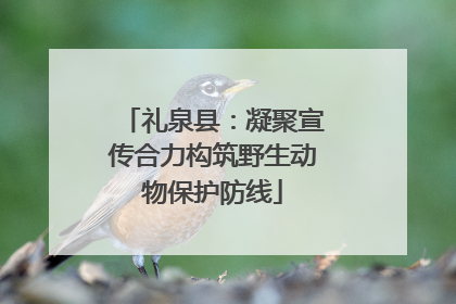 礼泉县：凝聚宣传合力构筑野生动物保护防线
