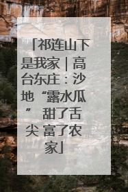 祁连山下是我家｜高台东庄：沙地“露水瓜” 甜了舌尖 富了农家