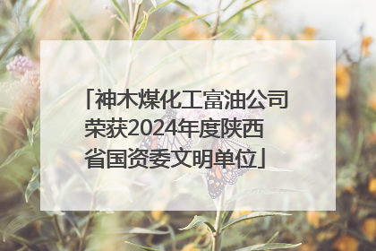 神木煤化工富油公司荣获2024年度陕西省国资委文明单位