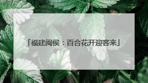 福建闽侯：百合花开迎客来