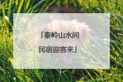 秦岭山水间 民宿迎客来