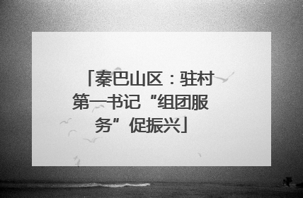 秦巴山区：驻村第一书记“组团服务”促振兴
