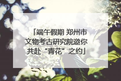 端午假期 郑州市文物考古研究院邀你共赴“青花”之约