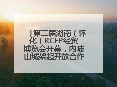 第二届湖南（怀化）RCEP经贸博览会开幕，内陆山城架起开放合作新桥梁