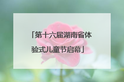 第十六届湖南省体验式儿童节启幕