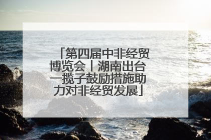 第四届中非经贸博览会丨湖南出台一揽子鼓励措施助力对非经贸发展