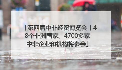 第四届中非经贸博览会丨48个非洲国家、4700多家中非企业和机构将参会