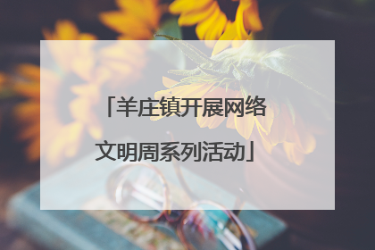 羊庄镇开展网络文明周系列活动