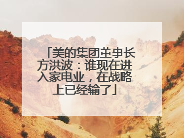 美的集团董事长方洪波：谁现在进入家电业，在战略上已经输了