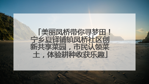 美丽凤桥带你寻梦田！宁乡夏铎铺镇凤桥社区创新共享菜园，市民认领菜土，体验耕种收获乐趣