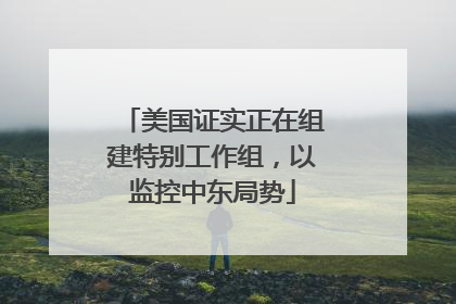美国证实正在组建特别工作组，以监控中东局势