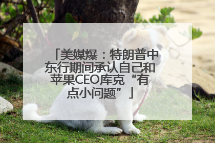 美媒爆：特朗普中东行期间承认自己和苹果CEO库克“有点小问题”