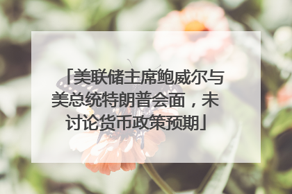 美联储主席鲍威尔与美总统特朗普会面，未讨论货币政策预期