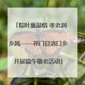 粽叶裹温情 孝老润乡风——祁门县溶口乡开展端午敬老活动