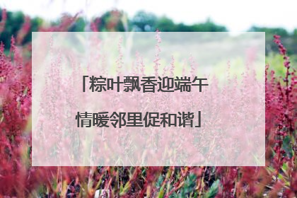 粽叶飘香迎端午 情暖邻里促和谐