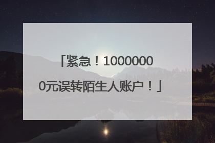 紧急！10000000元误转陌生人账户！