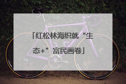 红松林海织就“生态+”富民画卷