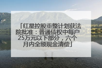 红星控股重整计划获法院批准：普通债权中每户25万元以下部分，六个月内全额现金清偿
