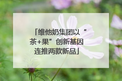 维他奶集团以“茶+果”创新基因连推两款新品