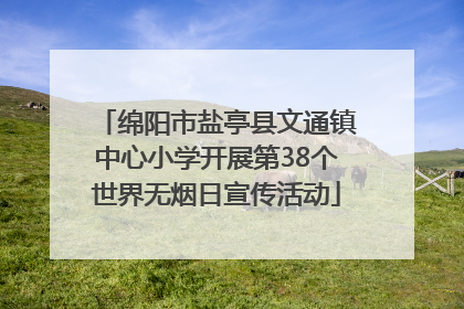绵阳市盐亭县文通镇中心小学开展第38个世界无烟日宣传活动