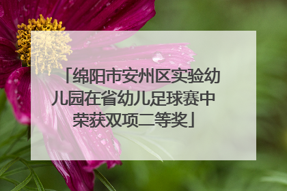 绵阳市安州区实验幼儿园在省幼儿足球赛中荣获双项二等奖