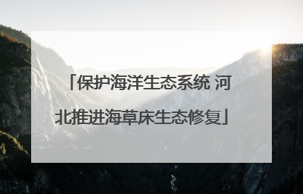 保护海洋生态系统 河北推进海草床生态修复