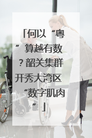 何以“粤”算越有数？韶关集群开秀大湾区“数字肌肉”