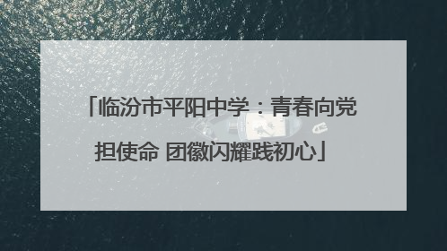 临汾市平阳中学：青春向党担使命 团徽闪耀践初心