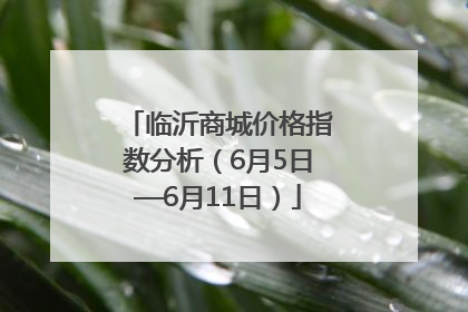 临沂商城价格指数分析（6月5日—6月11日）