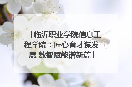 临沂职业学院信息工程学院：匠心育才谋发展 数智赋能谱新篇