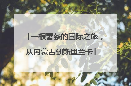 一根薯条的国际之旅，从内蒙古到斯里兰卡