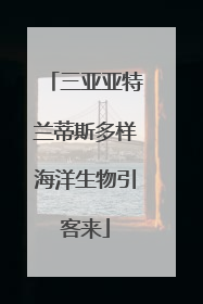 三亚亚特兰蒂斯多样海洋生物引客来