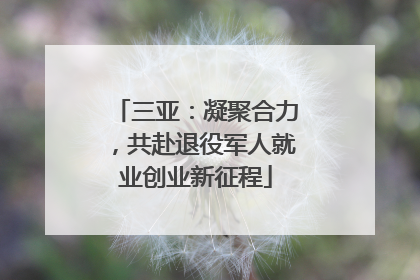 三亚：凝聚合力，共赴退役军人就业创业新征程