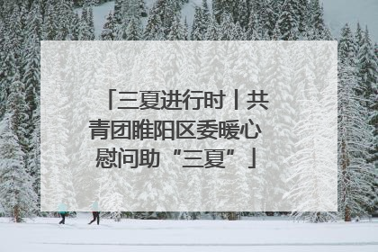 三夏进行时丨共青团睢阳区委暖心慰问助“三夏”