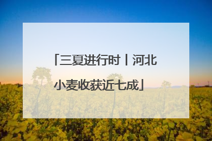 三夏进行时丨河北小麦收获近七成