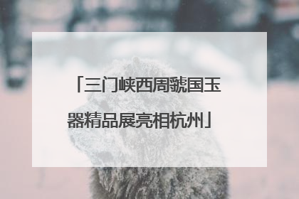 三门峡西周虢国玉器精品展亮相杭州
