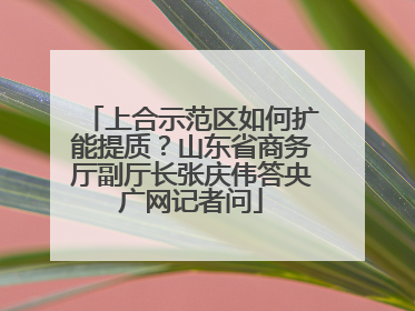 上合示范区如何扩能提质？山东省商务厅副厅长张庆伟答央广网记者问