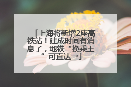 上海将新增2座高铁站！建成时间有消息了，地铁“换乘王”可直达→